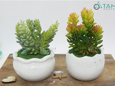 Chậu hoa giả để bàn Sen đá mini số 63